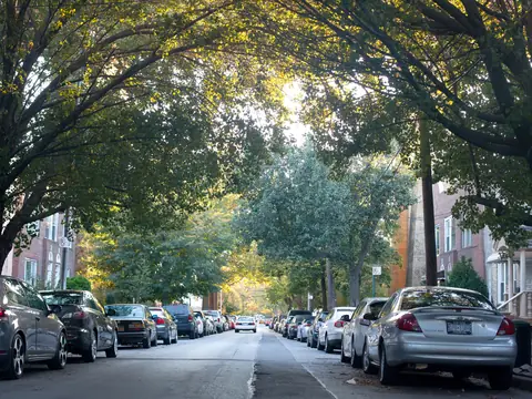 A tree-lined residential street in the Ditmars area of Astoria, Queens