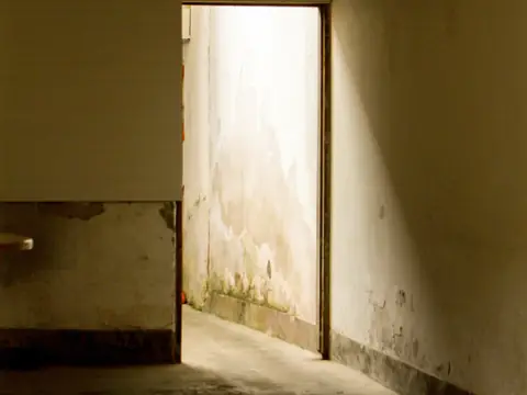 Water stains running down the wall of a dim corridor beside a doorway