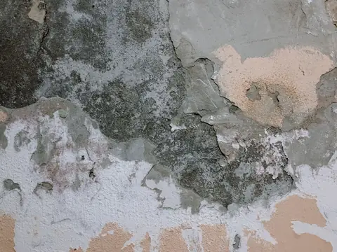 Damp plaster peeling away from a wall in patches
