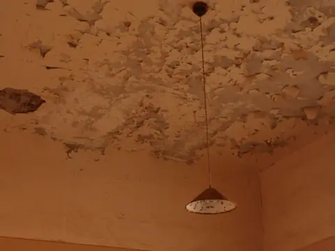 A water-damaged ceiling with plaster peeling away around a hanging lamp