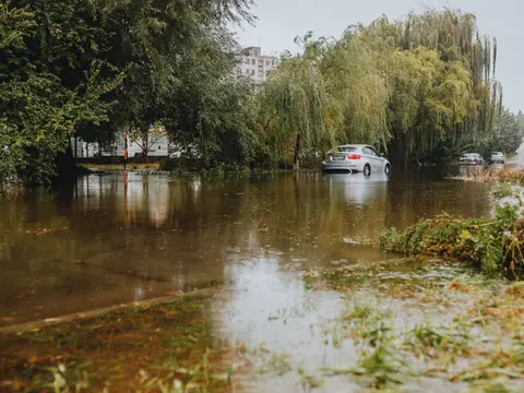 A car driving through a flooded street lined with trees