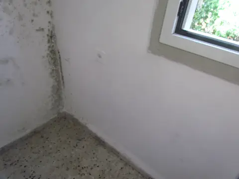 Dark mold growing up the corner of a white room beside a window