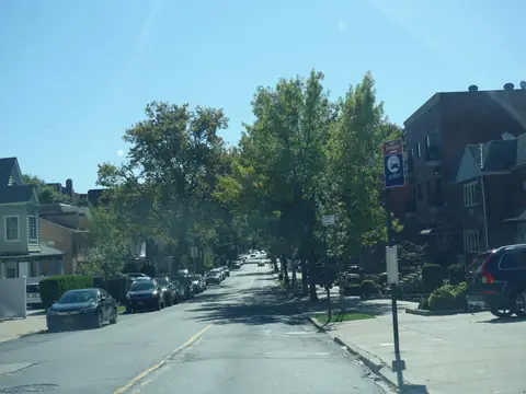 A tree-lined street of houses in Richmond Hill, Queens, on a sunny day