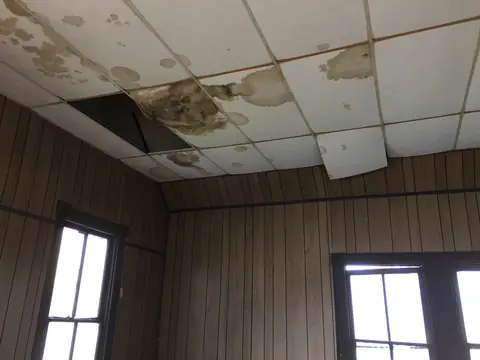 Water stains spreading across the ceiling tiles of a paneled room