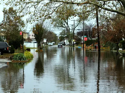 Floodwater filling a tree-lined residential street in Howard Beach, Queens, after Hurricane Sandy