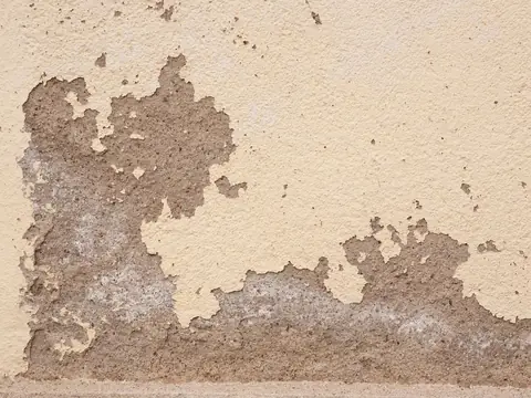 Damp plaster crumbling away at the bottom of a wall